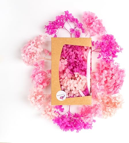Getrocknete Hortensie Echt - Trockenblumen zum Basteln - Für natürliche Deko - Perfekt für schöne Herbst Dekoration (Rosa und Pink)