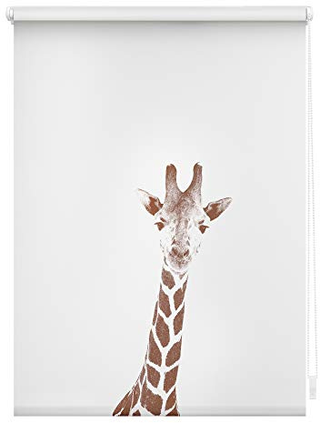 Lichtblick Klemmfix Tageslicht-Rollo mit Motiv, ohne Bohren, Blickdicht, Seitenzugrollo, Made in Germany, Giraffe - Braun 100 x 150 cm (B x L)