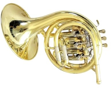 Anfänger Waldhorn Mini Waldhorn Instrument Gold Lackiert Waldhorn Stoffbezug Schaumstoffbox