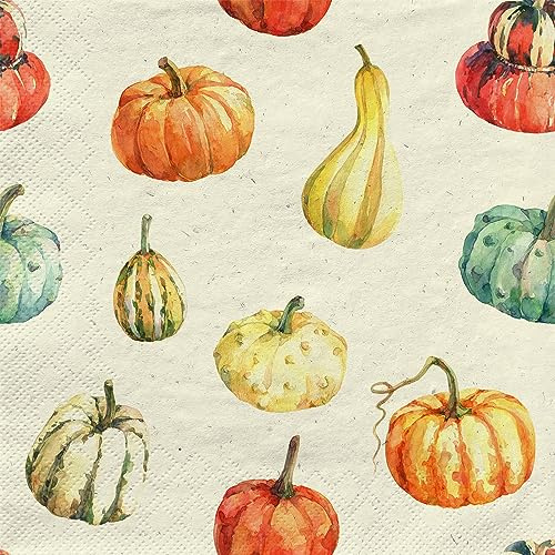 20 Servietten aus Recycling-Papier Herbst Feine Kürbisse als Tischdeko. Papierservietten mit Motiv. Auch für Decoupage und Serviettentechnik 33x33cm