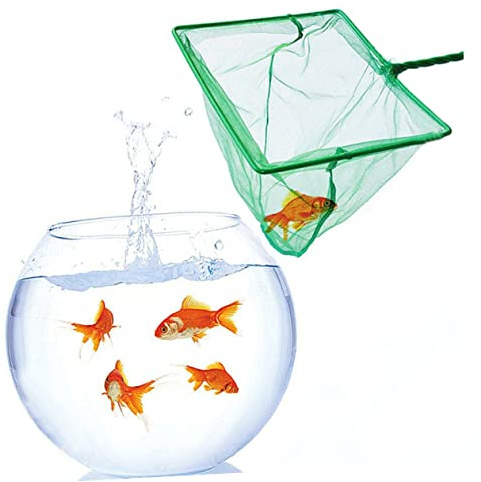 POPETPOP Fischtanknetz Aquarium-fangnetz Mit Langem Griff Für Kleine Fische Und Wasserpflanzen Quadratisches Netzdesign Grün Mit Praktischem Haken Am Griffende