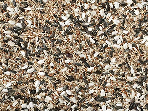 Johnston & Jeff 4kg Cockatiel & Parakeet bird seed food sold by Trusty Pet Supplies