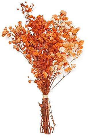 LIJUCAI Mini Bouquet Fleurs Fleurs séchées décoratives Les Plantes Naturelles préservent Floral pour la décoration de la Maison de Mariage, Orange