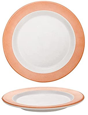 Indoor or Ourdoor Dinner Plates Melamine Dinner Plates 10inch Round Melamine Dessert Plates Picnic Plates for Holiday Home Party Break-Resistant Lightweight Pizza Pasta Serving Plates Dessert Dishes