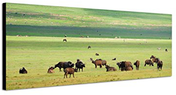 Augenblicke Wandbilder Keilrahmenbild Wandbild 150x50cm Meer Strand Steine Wolkenhimmel
