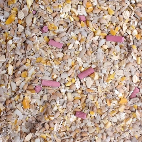 Leagrams Premium No Grow No Mess Wild Bird Seed Mix – Husk-Free, High-Energy Garden Bird Food (12.55kg) Bag