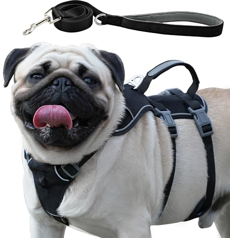 Wuffley Hundegeschirr mit Leine, Sicherheitsgeschirr Hund Ausbruchsicher, Anti Zug Hundegeschirr mit Assistenzgriff und Reflektierende, Leichtes Verstellbare Geschirr für Mittelgroße Hunde(Schwarz,XS)