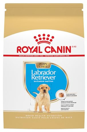 ROYAL CANIN Breed Health Nutrition Labrador Retriever Puppy Dry Dog Food, 30-Pound by Royal Canin