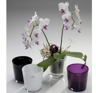 Maceta cónica para orquídeas, de color violeta lila por Sandra Rich