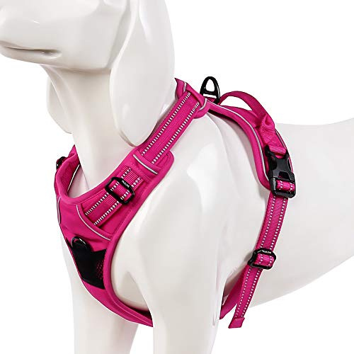 WINHYEPET No Pull Dog Harness with Front Clip & Handle(Fushcia,XS) | Truelove Dog Harness with 2 Leash Clips Adjustable Soft Padded Dog Vest with Easy Control Handle
