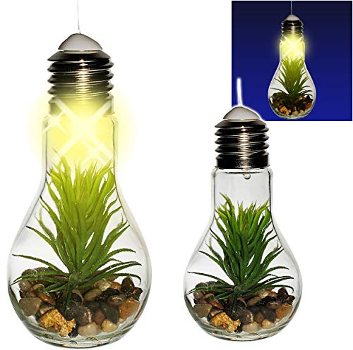 alles-meine.de GmbH LICHT Dekoglas - Glas Glühbirne - Lichterkette - LED - Blumen & Blüten - Sukkulente/Kaktus grün - zum Hängen/Aufhängen - 68 cm groß - Pflanzen - Lichtflas..