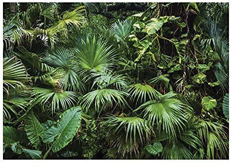 WallArena Carta Da Parati Fotografica Foglie Verde Giungla Foresta - Include Colla - Moderna Design Carta per Pareti Soggiorno Camera Da Letto Sala Fotomurali In Tessuto Non Tessuto TNT (208x146 cm)