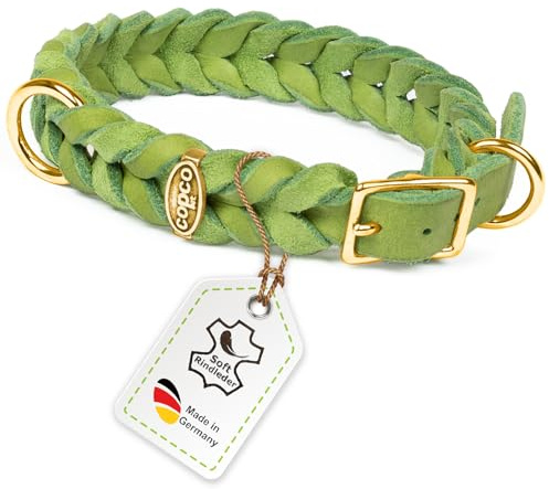 CopcoPet Hundehalsband aus Fettleder 30–34 cm x 15mm Apfelgrün – Geflochtenes Lederhalsband – Messing mit Dornschließe – Robust & verstellbar – Für kleine Hunde, ideal für Alltag & Training