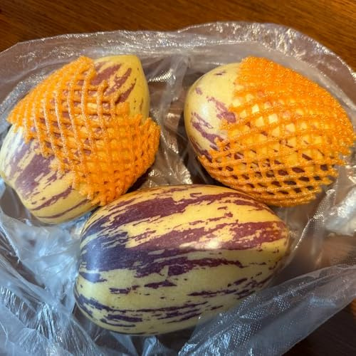 melón pera, pepino sostenibles semillas de melón y pera de jardín resistentes Cultivo verdes, interior, espaldera 225semillas