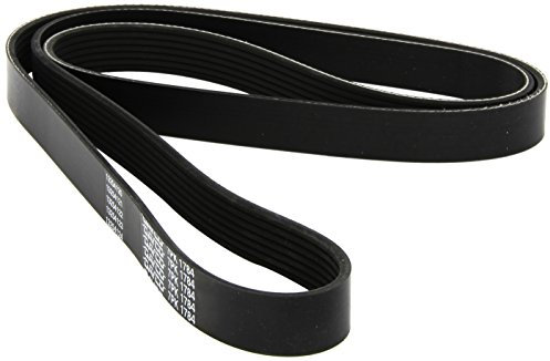 Dayco 7PK1784 correa trapecial poli v