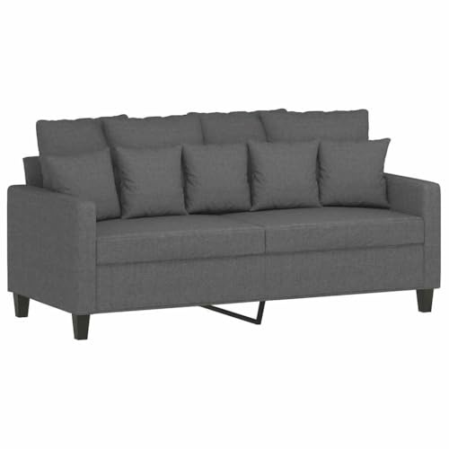 vidaXL Sofá de 2 Plazas, Asiento con Reposabrazos Respaldo, Sillón de Descanso Relax Televisión, Sofá Tapizado para Salón, Tela Gris Oscuro