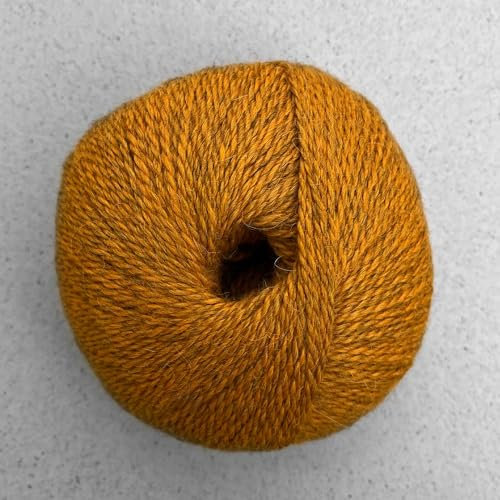 Pascuali Balayage Strickgarn aus 80% Alpaka Wolle (Babyalpaka), 20% Schurwolle (Bio Merino Extra fine, Mulesing frei)) 50g, Wolle zum Stricken, Farbe:Iquitos 608