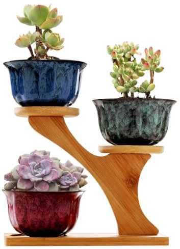 Pots de fleurs en céramique avec support en bois – Design brillant pour intérieur/extérieur, comprend des trous de drainage pour cactus, plantes grasses et petites plantes d'intérieur