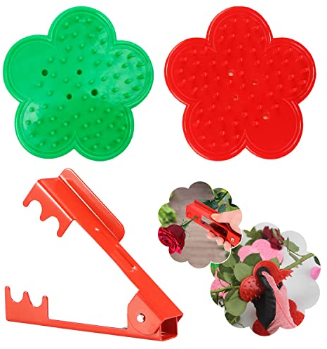 DEANKEJI 3 Piezas Herramientas de Poda de Rosas, Incluye dos Herramientas para Quitar Hojas de Rosas y un Alicate para Flores, Metal Herramientas de Jardín, para el Hogar, Jardín, Floristería