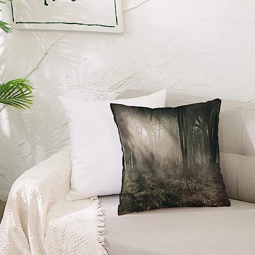 Housse Coussin Canapé 50x50 cm,Photo gothique de paysage de forêt sombre avec rayons de soleil et brouillard Couleurs nos,Taie Oreiller de Canapé Housse De Coussincarré pour Lit Voiture De La Maison