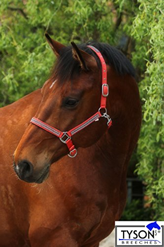 Glitzer Halfter Knallrot ROT Bling w.Strass Nylon MS S P VB WB Extra Full Tysons ! (Warmblut)