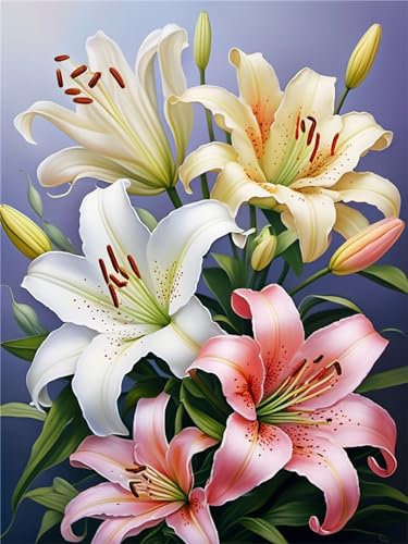 Diamond Painting Set, 5D DIY Lilie Diamant Painting Bilder Erwachsene, Diamond Painting Zubehör Kunst Cross Stickerei Malerei Kits, Malen Nach Zahlen Basteln für Home Deko Wohnzimmer(20x28in)-2H