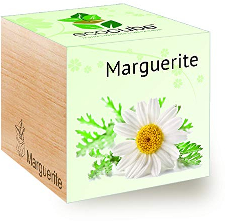 Feel Green Ecocube - Kit de cultivo de plantas en cubos de madera, 7,5 cm, producto austriaco