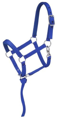 Tough 1 Nylon padded Miniature Halter, Blue/Royal, Medium