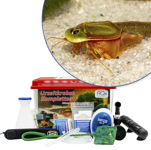 AQ4Aquaristik Triops sp. Mongolei Premium Komplett-Set mit Urzeitkrebs Eiern, 6 l Becken, LED-Beleuchtung, Zuchtansatz, Heizung, Filter, Luftpumpe, Kescher, Futter, Zubehör, Anleitung | für Aquarium, Triops, Fische, Garnelen, Schnecken