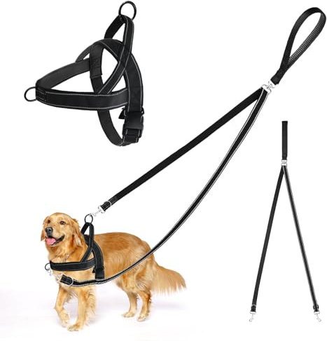Hundegeschirr mit Leine, Anti-Zug Hundeleine und Geschirr, Keine Verwicklung Doppelleine, Verstellbares Reflektierend Brustgeschirr, zum Spaziergänge und Training für mittel große Hunde (M)