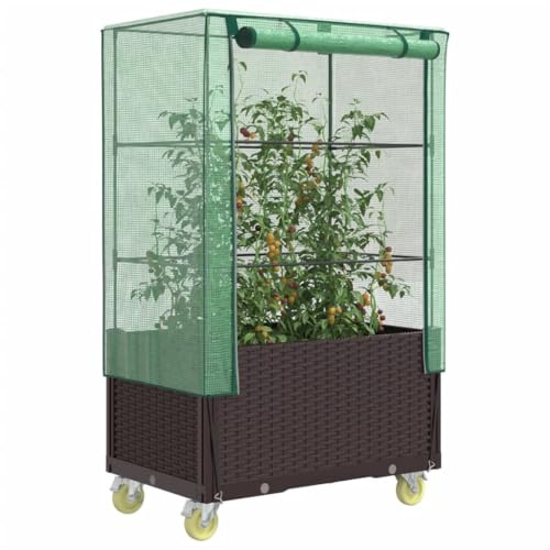 QJBSAVVA Aiuola rialzata con supporto per serra e ruote, 80 x 50 x 182 cm, effetto rattan, stabile casetta per pomodori con traliccio e ventilazione per giardino, balcone, terrazza