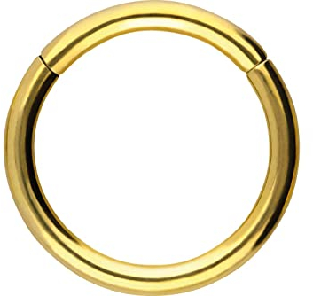 PIERCINGLINE Segmentring Clicker Chirurgenstahl Piercing Ring Nase Ohr Helix Septum Goldfarben 1 x 8 mm