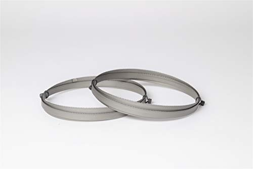 Set di 2 lame per sega a nastro ENCUT bimetalliche M42, dimensioni 1638 x 13 x 0,65 mm, 10 – 14 denti per pollice, ad esempio per Optimum, Epple, Holzmann, Bernardo