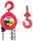 PARANCO MANUALE A CATENA 1000KG R 1650134 Valex