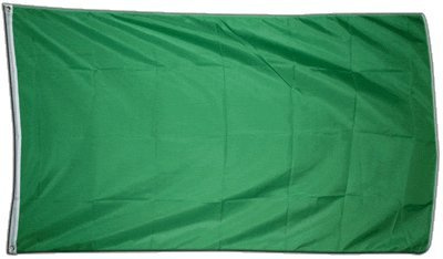 Flaggenfritze Fahne/Flagge Einfarbig Grün - 150 x 250 cm + gratis Sticker, XXL-Fahne