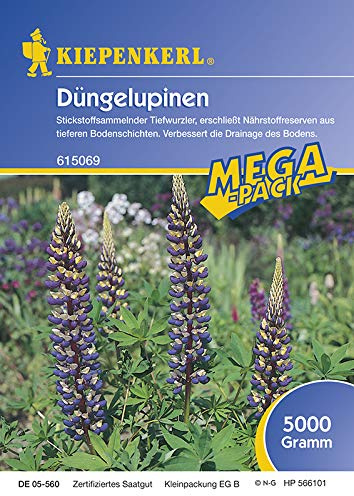 Kiepenkerl 615069 Düngelupinen 5 kg (Düngelupinensamen)
