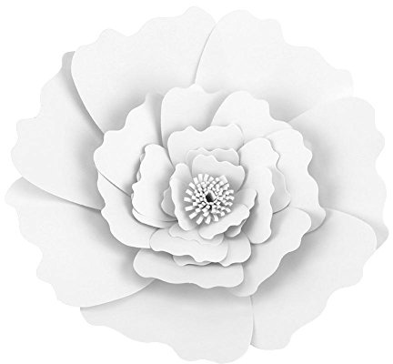Papierblumen Papier Pompons für Hochzeit Geburtstag Baby Shower Feier Party Wand Dekoration(Weiß)