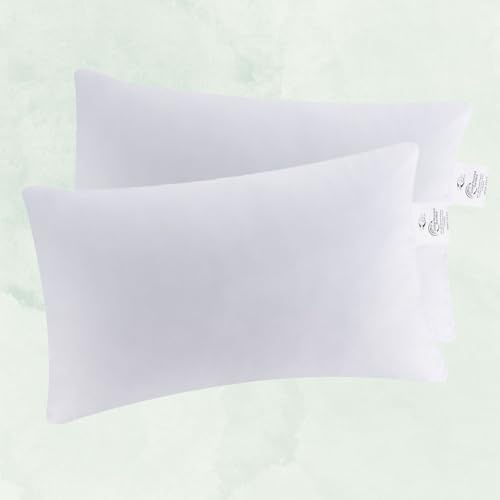 Moon Juego de 2 Cojines de Plumas de Ganso, 30 x 50-340 g, 90% Plumas y 10% plumón con Traumpass Fijo