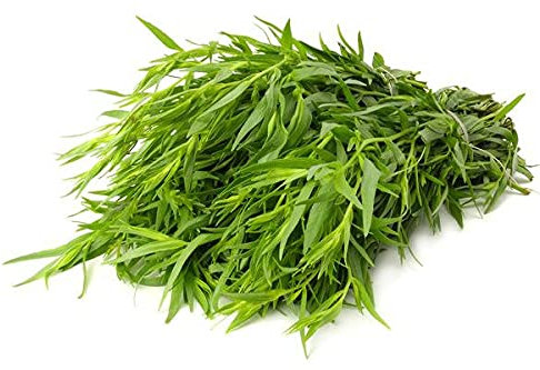 Semillas Semillas de Estragón Pack de 1: 50 Semillas
