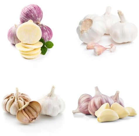 2zwiebeln knoblauch, frisch kräuterpflanzen pflanzknoblauch winterknoblauch topfpflanzen draußen winterhart balkon kräutergarten