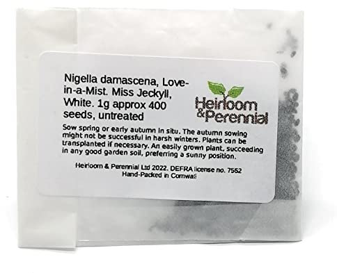 Helianthus Annuus, Sunflower, Giganteum, 20g approx 300 seeds