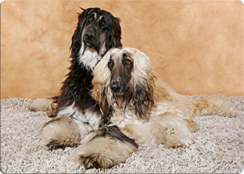 +++ AFGHANE Afghanischer Windhund - SCHNEIDEBRETT Dekoteller Glasbrett Dekoglas - AGW 01