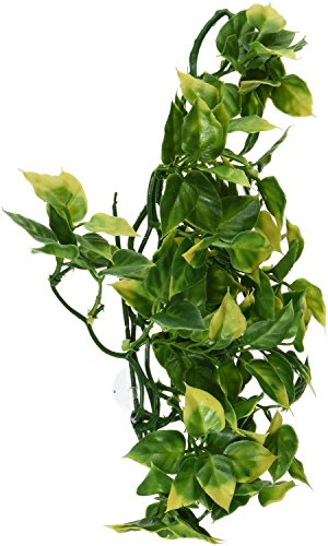 Exo Terra 544190 Terrarium Plant Amapallo Shrub Plastic, Medium