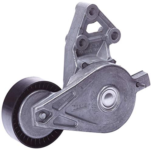 DAYCO APV2315 Tensor de Correa, Correa Poli V
