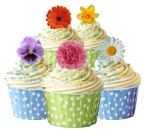 30 Gorgeous Mixed Spring Flower Selection Edible Wafer Paper Cake Toppers Decorations - Daffodil Daisy Gerbera Pansy by Top That