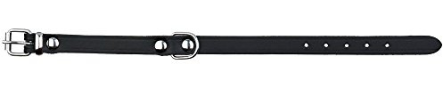 Trixie 19331 Basic Halsband, S–M: 33–39 cm/16 mm, schwarz