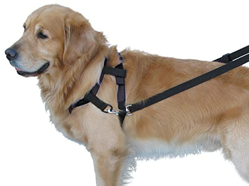 Nobby 79270-05 Top Walk Erziehungsgeschirr, schwarz, S