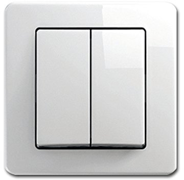 EKONOMIK Doppel-Wechsel-Schalter, weiß, 250V~/10A