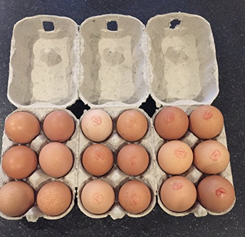 HAPPY CHICKENS 30 X NEW HALF DOZEN EGG BOXES SUITABLE FOR MEDIUM TO LARGE EGGS