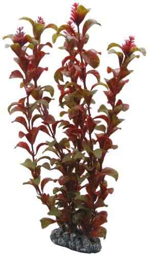 Hobby 41518 Rotala, 30 cm